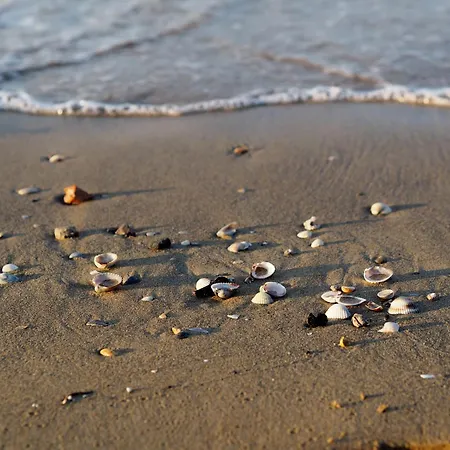Vila Lovely Peaceful Near The - Beahost Bibione