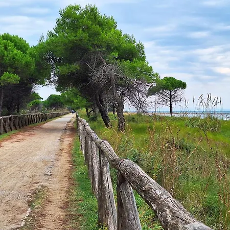 Lovely Peaceful Near The - Beahost